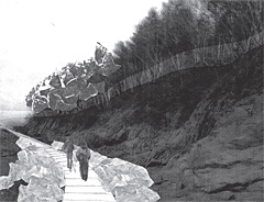 process montage - shoreline boardwalk